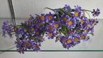 4 bosjes asters. Plastic. 30 cm. Hoog. NIEUW, Ophalen of Verzenden, Nieuw, Binnen