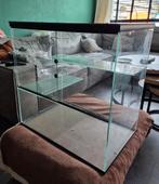 Hamster scaping hok (zonder hamster), Meerdere dieren, Hamster, Na 1 juli 2024