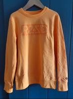 Raizzed oranje sweater, Ophalen of Verzenden, Zo goed als nieuw