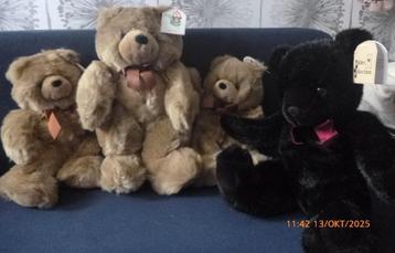 beren 4xteddy beschikbaar voor biedingen