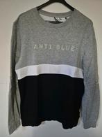 Trui Anti Blue, Kleding | Heren, Truien en Vesten, Maat 52/54 (L), Ophalen of Verzenden, Anti Blue, Grijs
