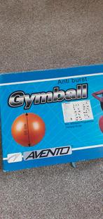 Avento Gymball 55cm - Fitnessbal met Training Guide, Ophalen of Verzenden, Gebruikt, Buik, Fitnessbal