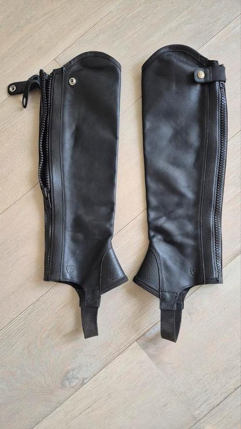 Ariat Concord chaps zwart maat ST, Dieren en Toebehoren, Paardrijkleding, Zo goed als nieuw, Schoeisel, Ophalen of Verzenden