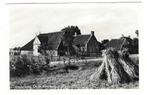 Terschelling - Oude Boerderij, Verzamelen, Verzenden, 1940 tot 1960, Gelopen, Waddeneilanden