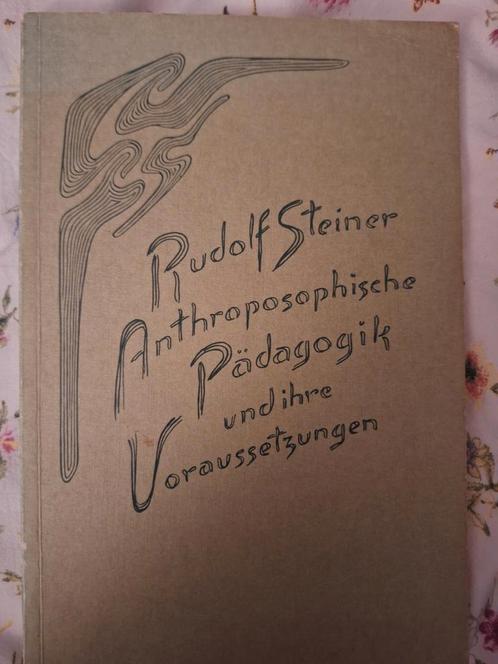Rudolf Steiner - Anthroposophische Pädagogik (Zeldzaam), Antiek en Kunst, Antiek | Boeken en Bijbels, Ophalen of Verzenden