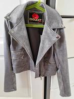 Coolcat jasje, Meisje, Coolcat, Nieuw, Ophalen of Verzenden