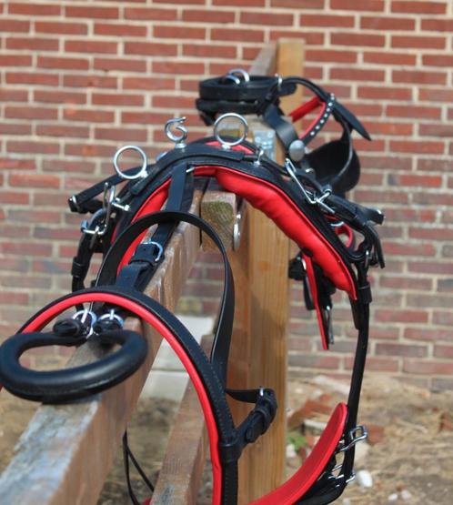 Te koop nieuw rood onderlegd mini shetlander mentuig, Dieren en Toebehoren, Paarden en Pony's | Hoofdstellen en Tuigage, Nieuw