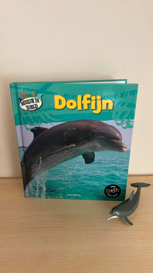 Louise Spilsbury - Dolfijn, Boeken, Kinderboeken | Jeugd | onder 10 jaar, Zo goed als nieuw, Ophalen of Verzenden