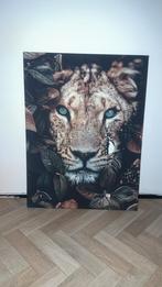 Canvas Schilderij Leeuw met Vlinder, Ophalen of Verzenden