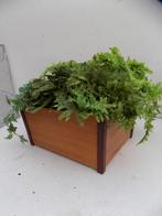 Bak voorraadbak plantenbak hout coromandel hoeken, Ophalen of Verzenden, Gebruikt