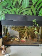 Aquarium 80cm, Dieren en Toebehoren, Gebruikt, Ophalen of Verzenden, Leeg aquarium