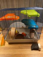 Compleet knaagdierenverblijf, Kooi, Hamster, Minder dan 75 cm, Zo goed als nieuw