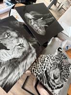 Schilderij van plexiglass, Ophalen, Zo goed als nieuw, Schilderij, Minder dan 50 cm