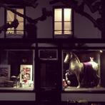 Paard, Ophalen of Verzenden