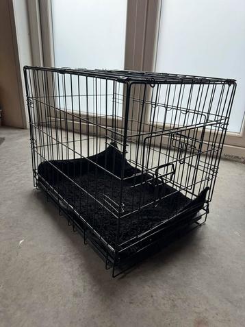 Hondenbench beschikbaar voor biedingen