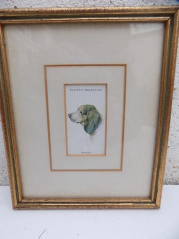 Tekening Beagle voor Players cigarettes 1980 ingelijst   beschikbaar voor biedingen