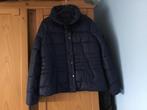 Mango donkerblauwe jas, maat XL, nieuw, Ophalen of Verzenden, Zo goed als nieuw