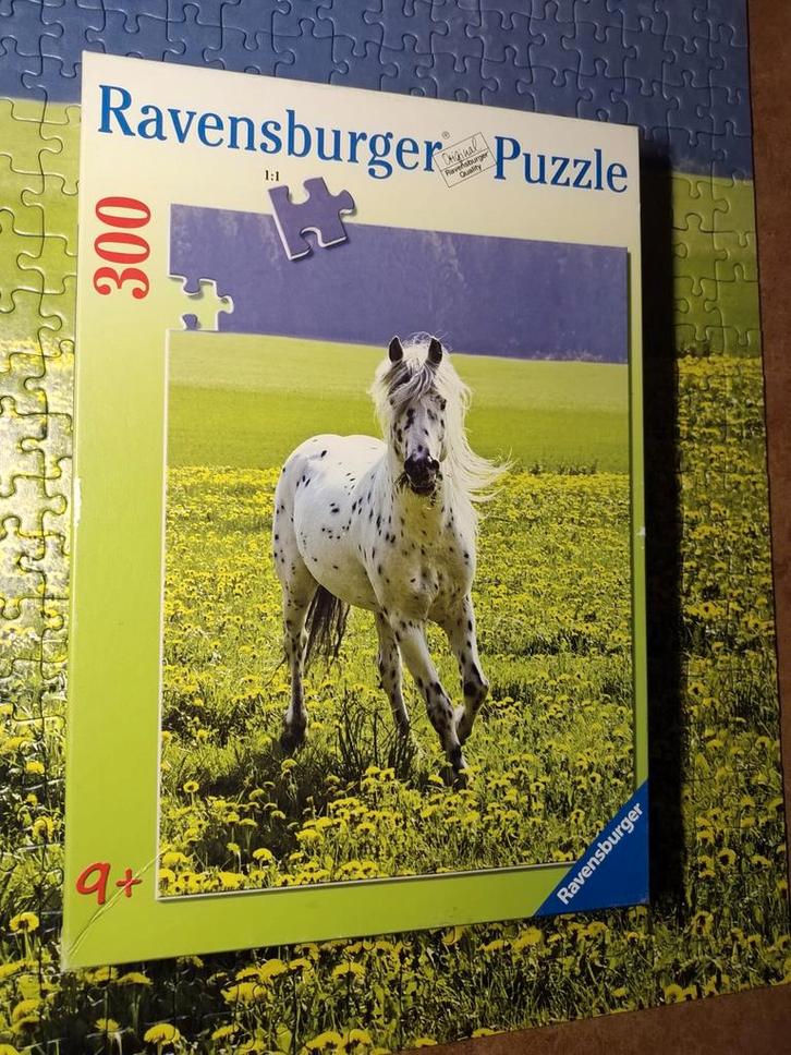 Ravensburger puzzel 300 stukjes, Hobby en Vrije tijd, Denksport en Puzzels, Zo goed als nieuw, Legpuzzel, Minder dan 500 stukjes