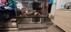 Hamster terrarium, Dieren en Toebehoren, Ophalen, Kooi, Gebruikt, 90 cm of meer