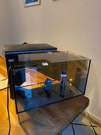 Superfish aquarium, Ophalen, Zo goed als nieuw, Leeg aquarium