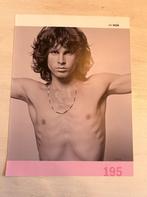 Jim Morrison knipsel 2009, Verzamelen, Ophalen of Verzenden, Zo goed als nieuw