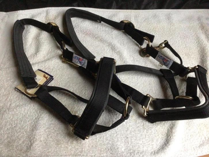Halsters maat Shet en Pony. Nieuw., Dieren en Toebehoren, Paarden en Pony's | Hoofdstellen en Tuigage, Nieuw, Recreatie, Ophalen of Verzenden