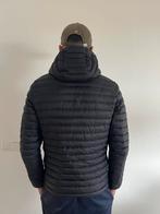 Moose Knuckles Tussenjas - Gedragen, Ophalen of Verzenden, Gedragen, Zwart