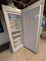 Vrieskast Bosch, Gebruikt, 160 cm of meer, Ophalen, Vrieskast