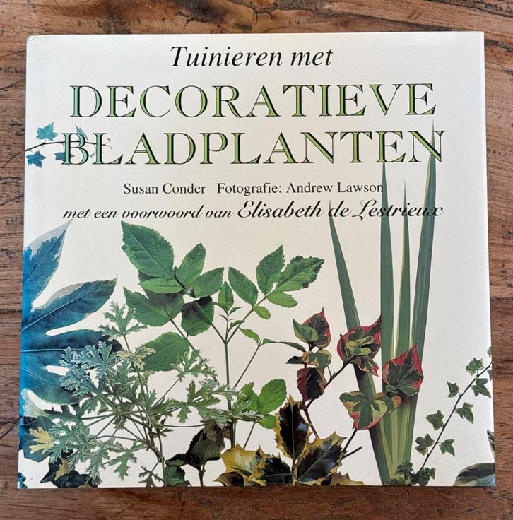 Tuinieren met Decoratieve Bladplanten, Boeken, Wonen en Tuinieren, Gelezen, Tuinieren en Tuinplanten, Ophalen