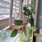 Mooie en unieke plantenhanger, Ophalen of Verzenden, Zo goed als nieuw