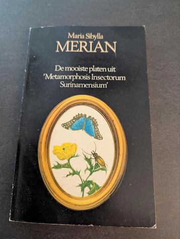 Maria Sibylla Merian - Metamorphosis Insectorum beschikbaar voor biedingen