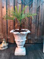 Beton vaas, Ophalen of Verzenden, Zo goed als nieuw