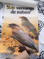 reclame poster Sluis..vervangt de natuur 2 vogels jr 70 80, Verzamelen, Posters, Ophalen of Verzenden, Gebruikt, Rechthoekig Staand
