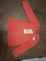 Nieuw maat 68, Kinderen en Baby's, Babykleding | Maat 68, Ophalen of Verzenden, Nieuw, Meisje, Truitje of Vestje