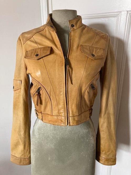 Heel leuk leren taille jasje, Kleding | Dames, Jassen | Zomer, Gedragen, Maat 38/40 (M), Blauw, Ophalen of Verzenden