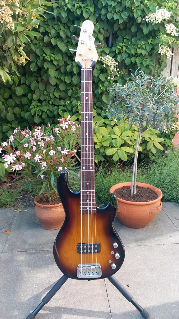 G&L L-1505 (USA) basgitaar, Muziek en Instrumenten, Snaarinstrumenten | Gitaren | Bas, Zo goed als nieuw, Elektrisch, 5-snarig