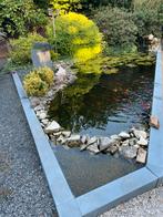 Vijver, vissen, steur, vijverpomp te koop, Tuin en Terras, Vijvers, Ophalen, Gebruikt