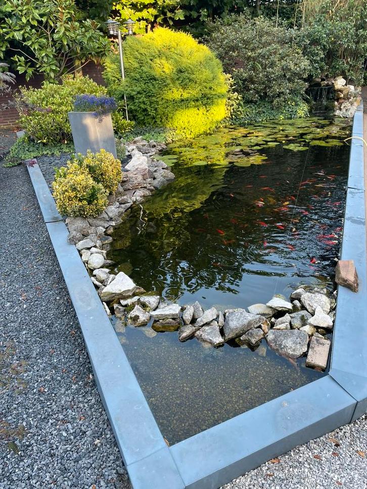 Vijver, vissen, steur, vijverpomp te koop, Tuin en Terras, Vijvers, Gebruikt, Ophalen