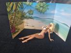 Sexy zonnende mevrouw, Ophalen of Verzenden, Zo goed als nieuw, Beeldje of Figuurtje