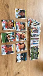 82 x panini voetbal 91, Verzamelen, Ophalen of Verzenden, Zo goed als nieuw, Ajax, Poster, Plaatje of Sticker