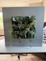 Life picture met kunstbeplanting., Ophalen, Zo goed als nieuw, Binnen