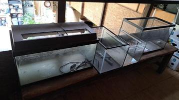 aquariumbakken beschikbaar voor biedingen