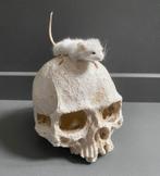 Mr. Skull - taxidermie muis op mensenschedel, Ophalen of Verzenden, Nieuw, Opgezet dier