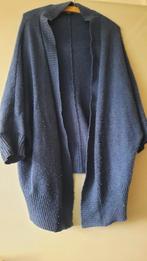 Ruim vallend blauw vest, Ophalen of Verzenden, Gedragen, Maat 46/48 (XL) of groter, Blauw