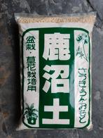 Kanuma 2ltr, Tuin en Terras, Ophalen of Verzenden, Bloeit niet, Overige soorten, Minder dan 100 cm