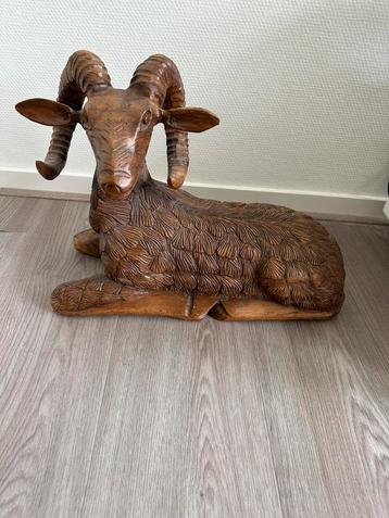 Houten ram beschikbaar voor biedingen