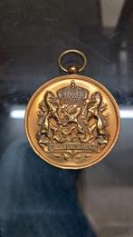 tentoonstelling paarden en rundvee S'Gravenhage 1928, Postzegels en Munten, Penningen en Medailles, Ophalen of Verzenden, Brons