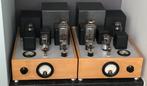 300BXLS SE versterker, Zo goed als nieuw, Ophalen, Overige merken, Minder dan 60 watt