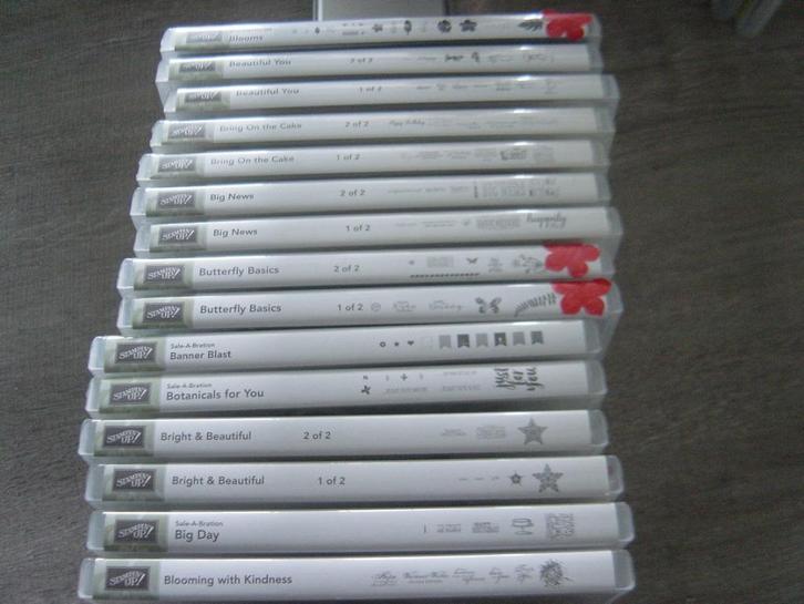 stampin up siliconenstempels in doosje, Hobby en Vrije tijd, Stempelen, Zo goed als nieuw, Clearstamp, Verzenden