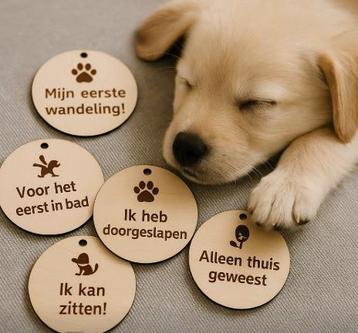 Houten Puppy Mijlpaalkaarten – Set van 6 beschikbaar voor biedingen